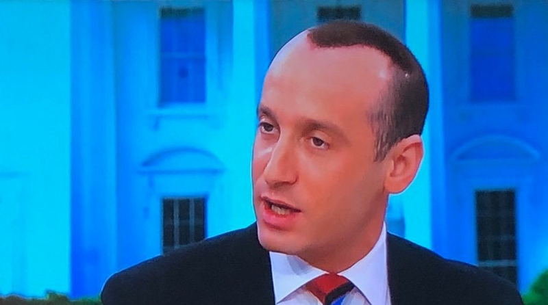 Illustration for article titled Stephen Miller Should've Gone to a Black Barber, Instead He Sprayed-Painted His Scalp With White Man Bigen